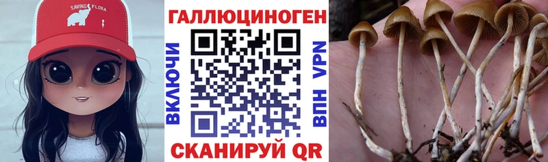 Галлюциногенные грибы Magic Shrooms  Бабушкин 