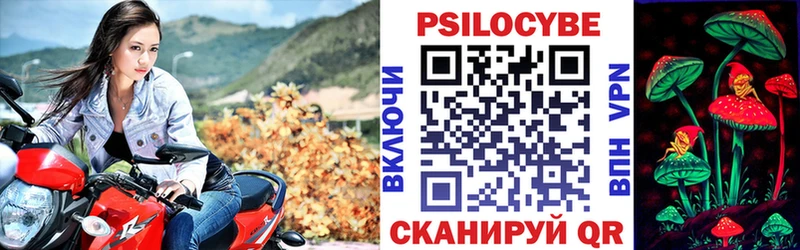 Псилоцибиновые грибы Cubensis Бабушкин